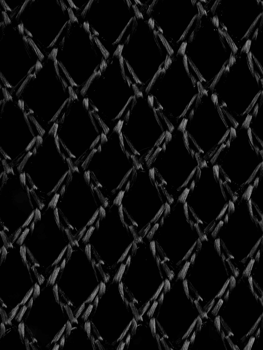 Mesh Fish Bag lifestyle shot with catch